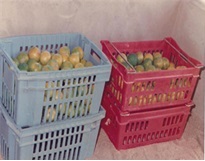 Stackable ventilated plastic crates for fruits